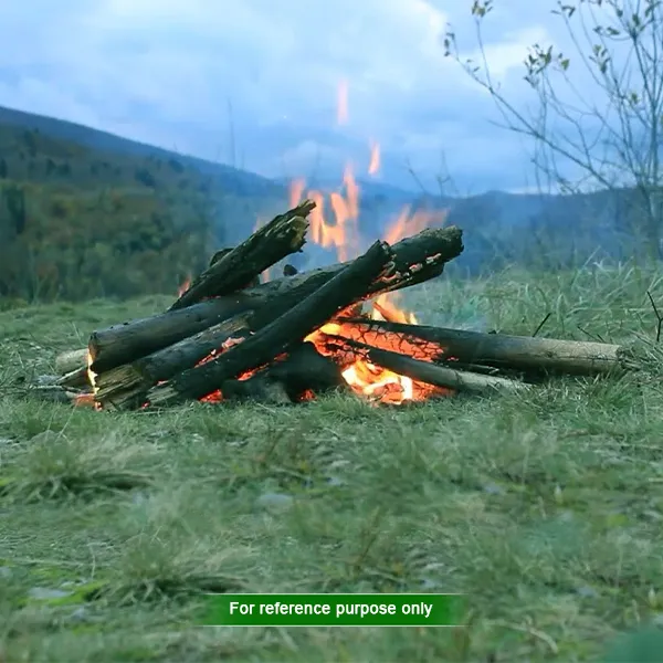 Bonfire and BBQ Adventure in Dooars