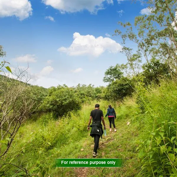 Trekking and Adventure in Dooars