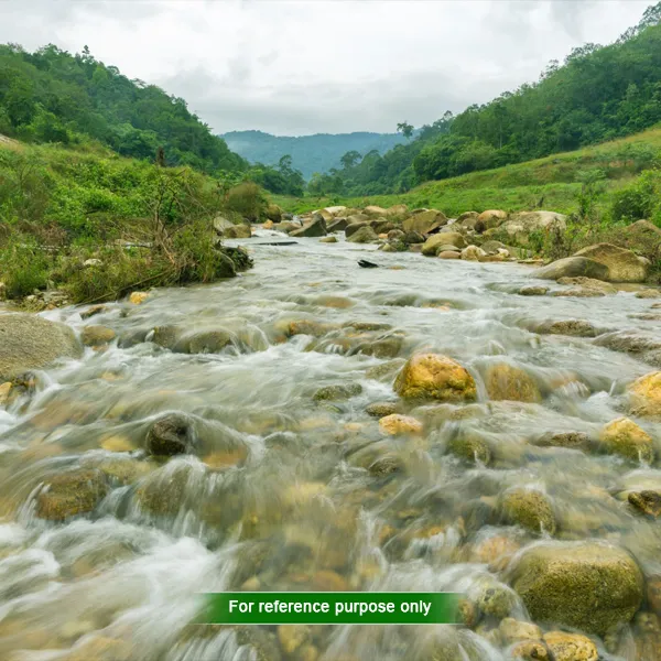 Sightseeing Activities Near Dooars