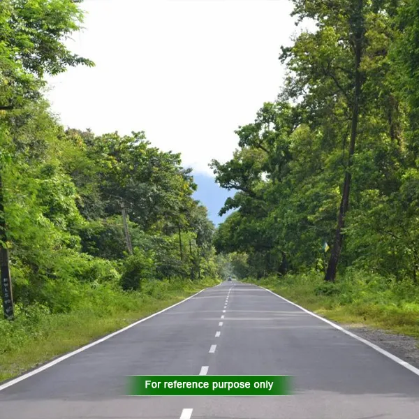 Best Places to Visit in Dooars