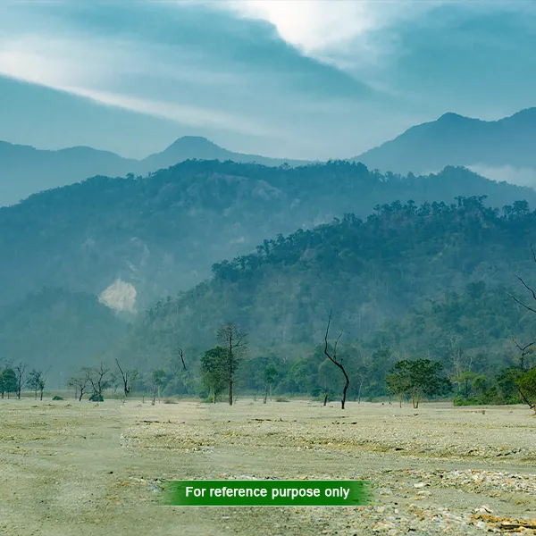 Sightseeing Activities in Dooars