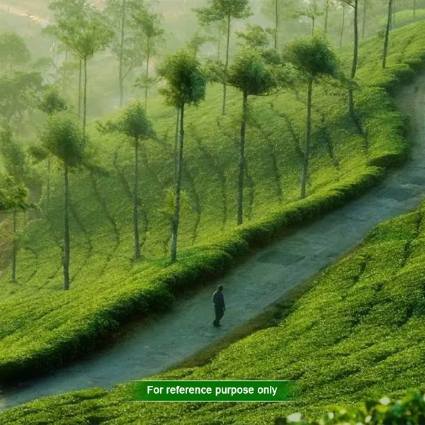 Visit Dooars Tourist Spot